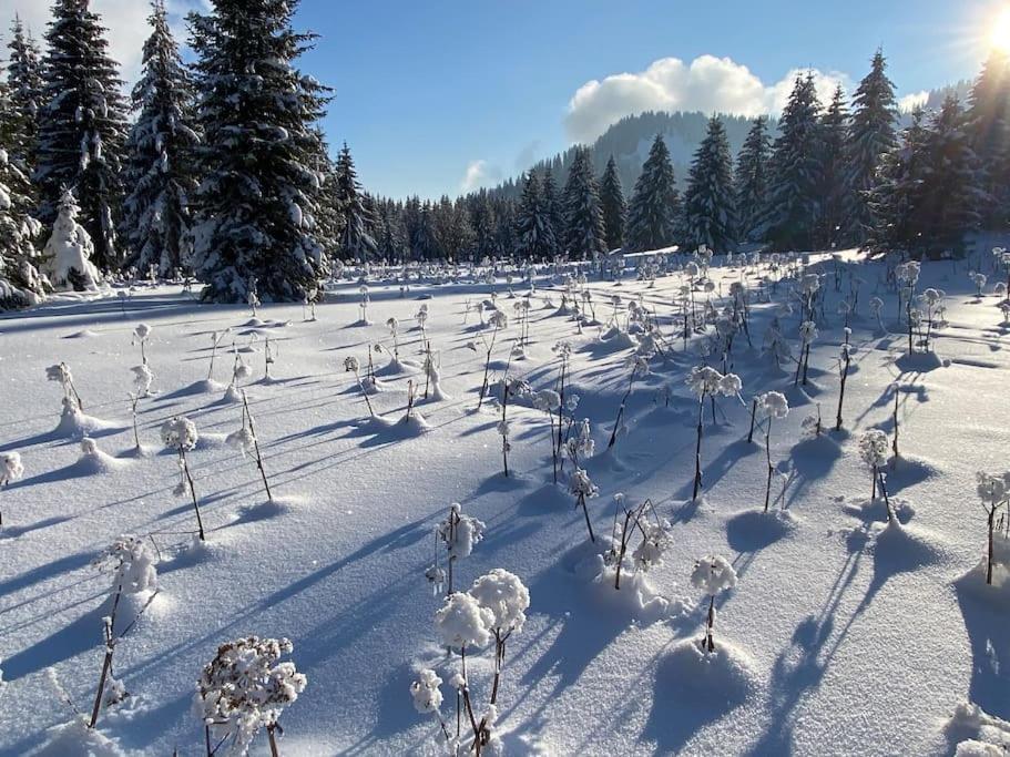 Dans Hameau, Pres Des Pistes Logement De Plein Pied Au Calme Taninges Kültér fotó
